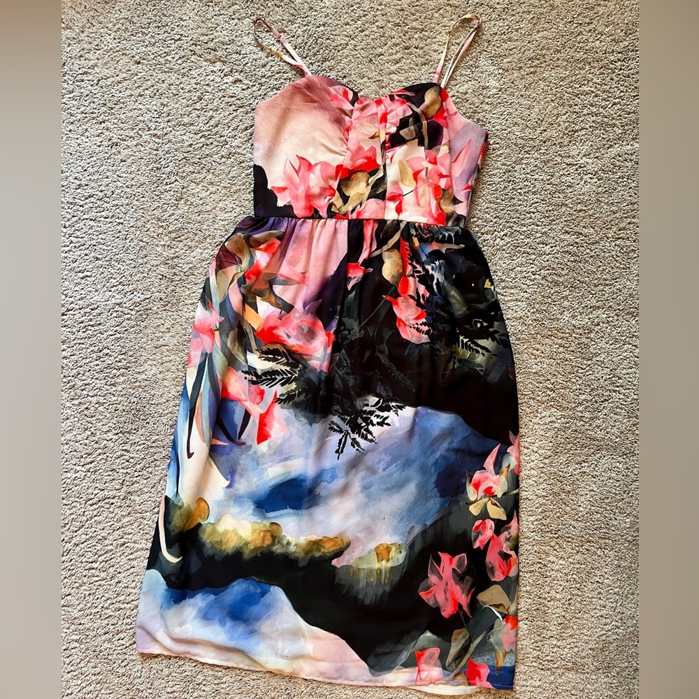Corey Lynn Calter Watercolor Daybreak Art to Wear Midi Dress Sz4